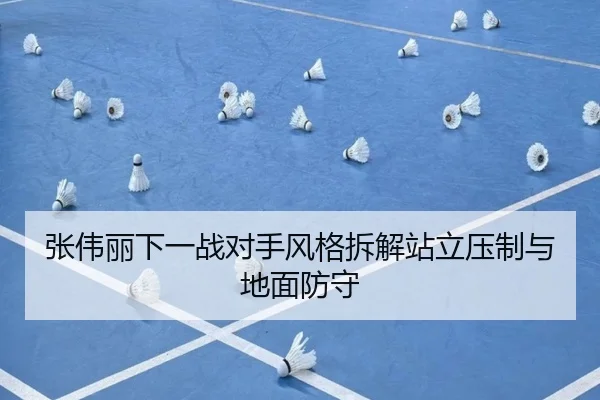 张伟丽下一战对手风格拆解站立压制与地面防守